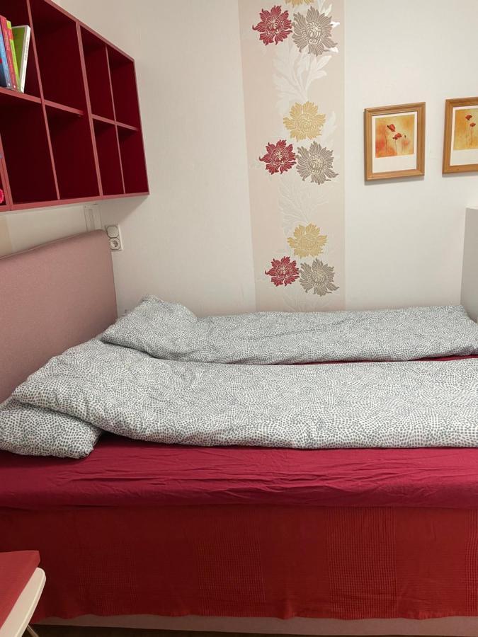 Pino24 Comfort Und Pino24 Petit *
